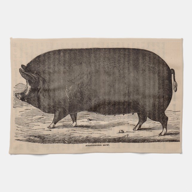 19th century farm animal print Berkshire sow no. 2 Kitchen Towel (Horizontal)