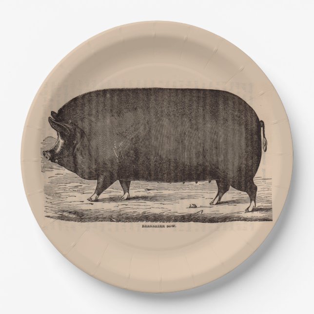 19th century farm animal print Berkshire sow no. 2 Paper Plates (Front)