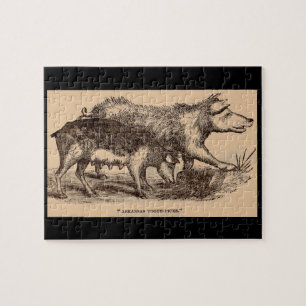 19th century farm animal print pigs jigsaw puzzle