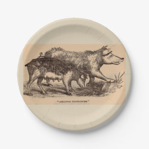 19th century farm animal print pigs paper plates