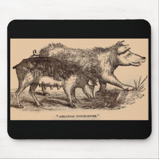 19th century farm animal print pigs print mouse pad