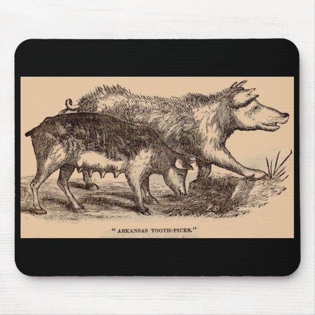 19th century farm animal print pigs print mouse pad (Front)