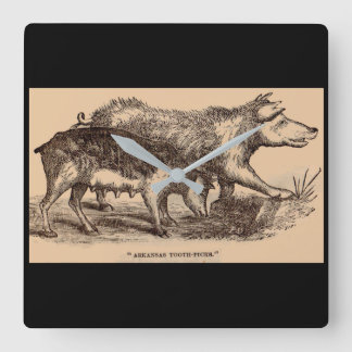 19th century farm animal print pigs print square wall clock