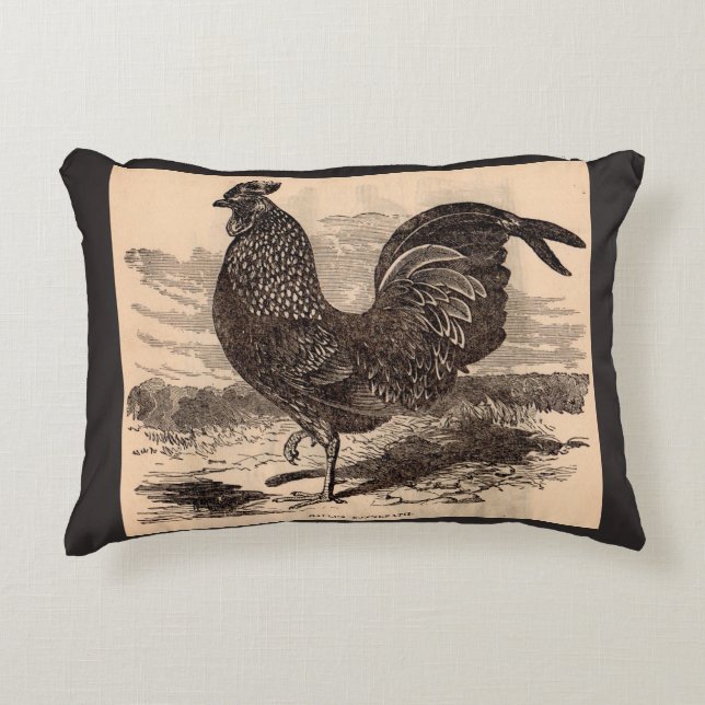 19th century Gallus Sonneratii rooster print Accent Pillow (Front)