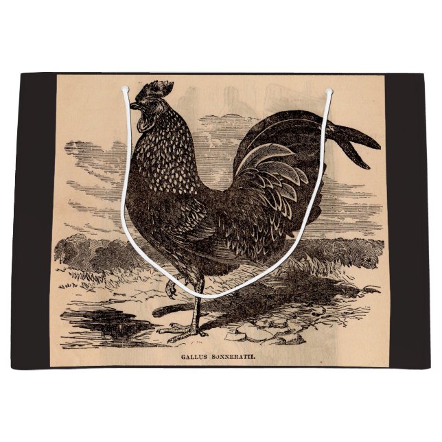 19th century Gallus Sonneratii rooster print Large Gift Bag (Front)