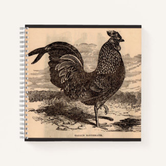 19th century Gallus Sonneratii rooster print Notebook