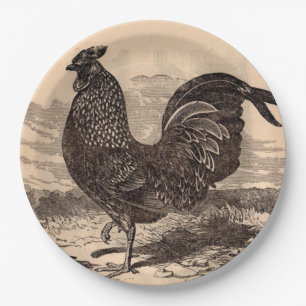 19th century Gallus Sonneratii rooster print Paper Plates