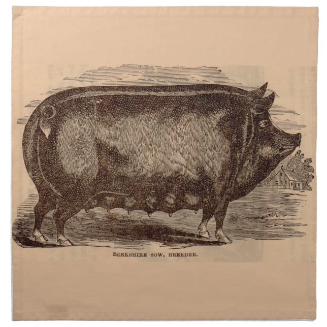19th century pig print Berkshire sow no. 1 Cloth Napkin (Front)