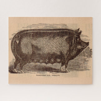 19th century pig print Berkshire sow no. 1 Jigsaw Puzzle
