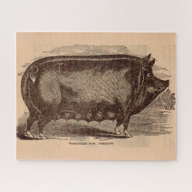 19th century pig print Berkshire sow no. 1 Jigsaw Puzzle (Horizontal)