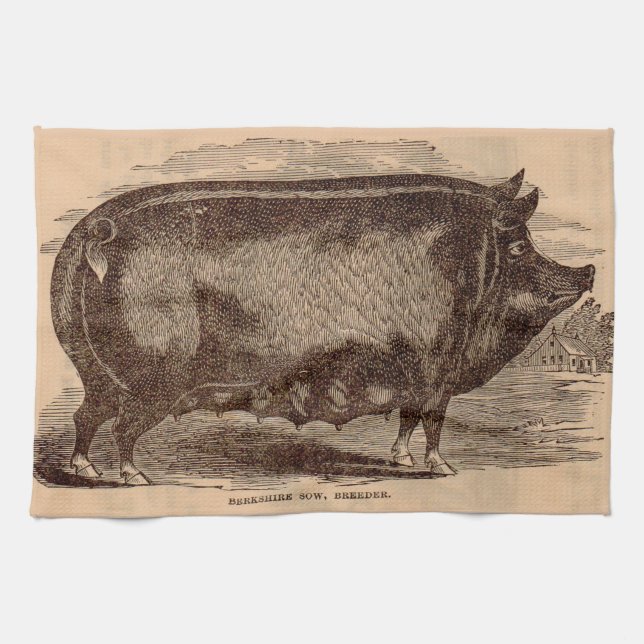 19th century pig print Berkshire sow no. 1 Kitchen Towel (Horizontal)