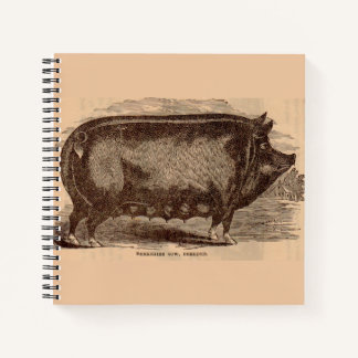 19th century pig print Berkshire sow no. 1 Notebook