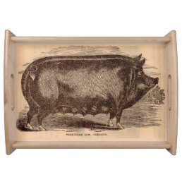 19th century pig print Berkshire sow no. 1 Serving Tray