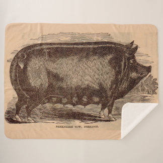 19th century pig print Berkshire sow no. 1 Sherpa Blanket