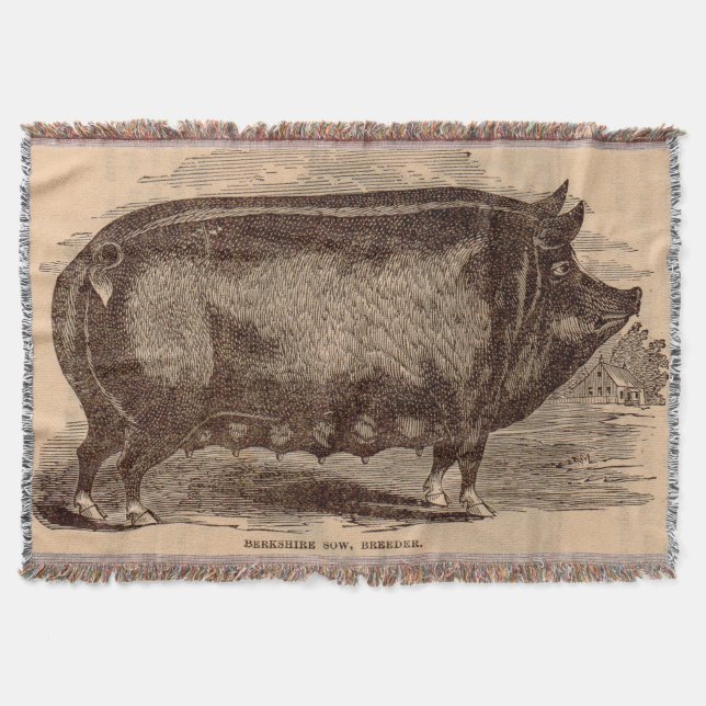 19th century pig print Berkshire sow no. 1 Throw Blanket (Front)