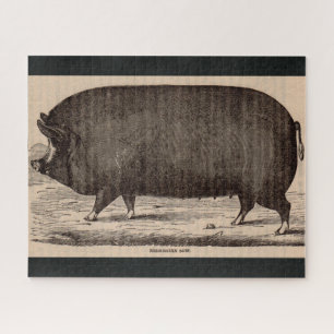 19th century pig print Berkshire sow no. 2 Jigsaw Puzzle
