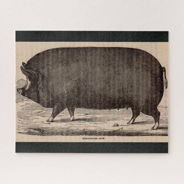 19th century pig print Berkshire sow no. 2 Jigsaw Puzzle (Horizontal)