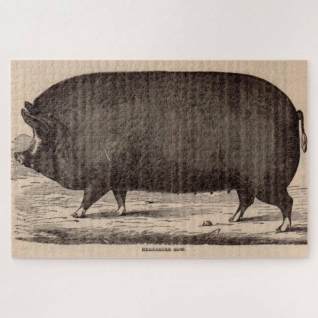 19th century pig print Berkshire sow no. 2 Jigsaw Puzzle (Horizontal)