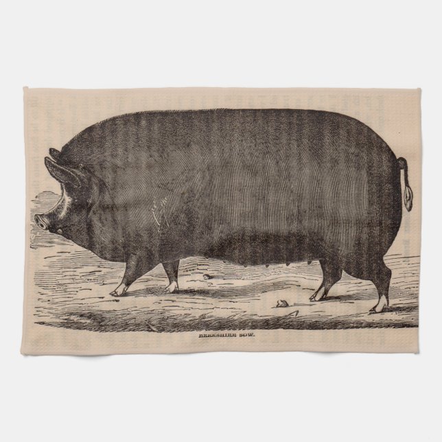 19th century pig print Berkshire sow no. 2 Kitchen Towel (Horizontal)