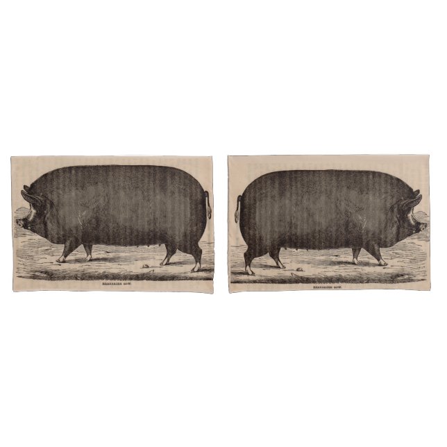 19th century pig print Berkshire sow no. 2 Pillow Case (Front-Set)