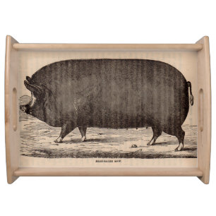 19th century pig print Berkshire sow no. 2 Serving Tray