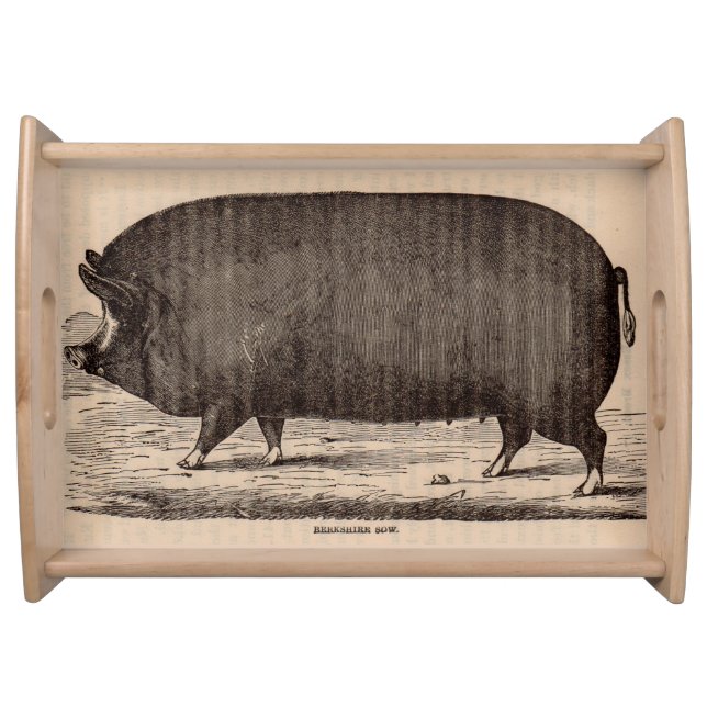 19th century pig print Berkshire sow no. 2 Serving Tray (Front)