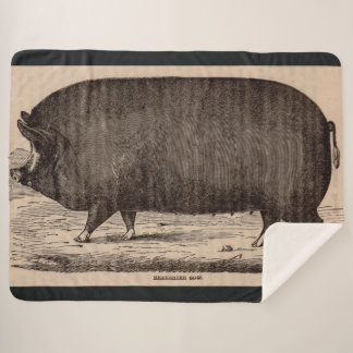 19th century pig print Berkshire sow no. 2 Sherpa Blanket