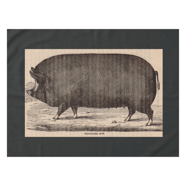 19th century pig print Berkshire sow no. 2 Tablecloth (Front (Horizontal))