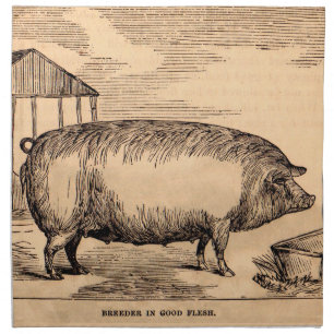 19th century pig print ‘Breeder in Good Flesh’ Cloth Napkin