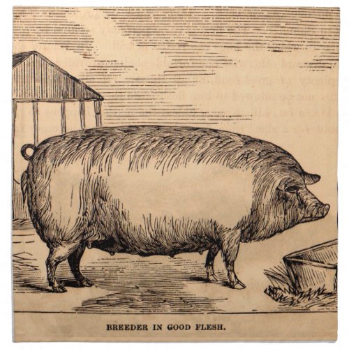 19th century pig print Breeder in Good Flesh Cloth Napkin