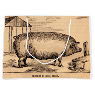19th century pig print ‘Breeder in Good Flesh’ Large Gift Bag