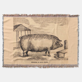 19th century pig print ‘Breeder in Good Flesh’ Throw Blanket