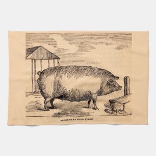 19th century pig print ‘Breeder in Good Flesh’ Towel