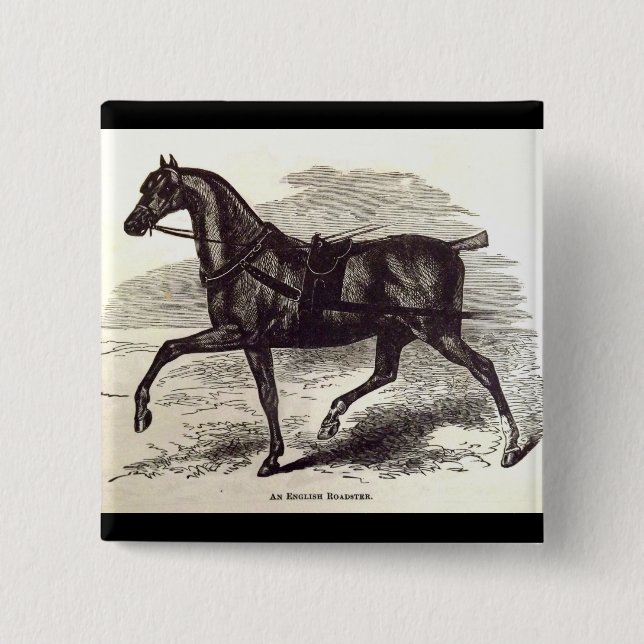 19th century print An English Roadster horse Button (Front)