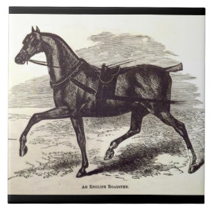 19th century print An English Roadster horse Ceramic Tile
