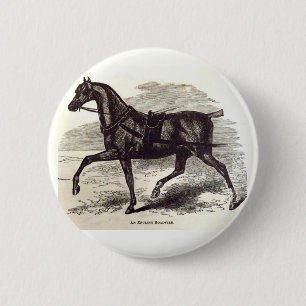 19th century print An English Roadster horse Pinback Button