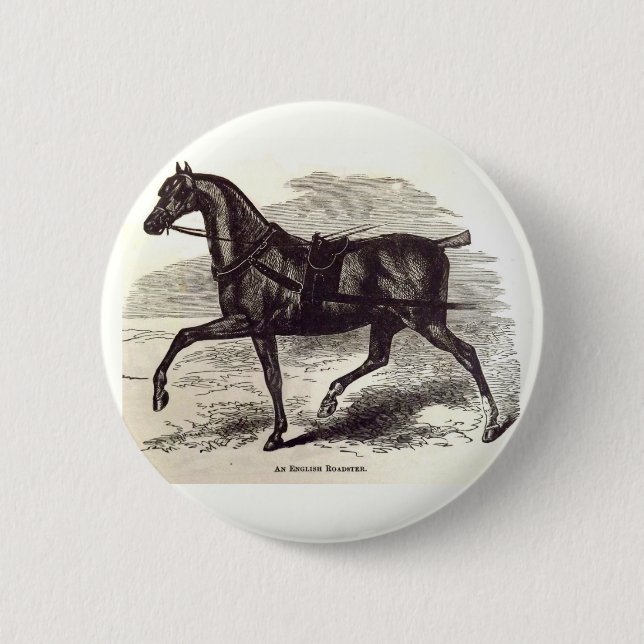 19th century print An English Roadster horse Pinback Button (Front)