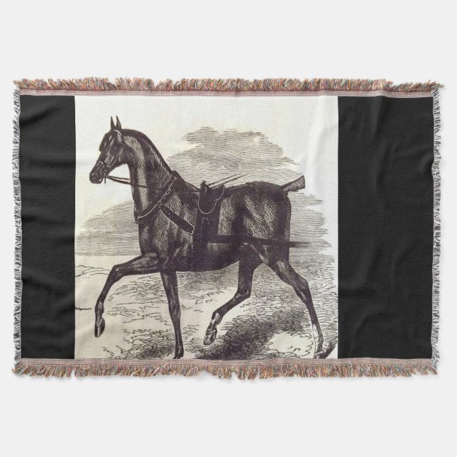 19th century print An English Roadster horse Throw Blanket (Front)