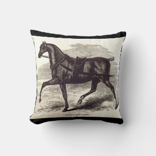 19th century print An English Roadster horse Throw Pillow