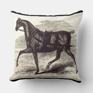 19th century print An English Roadster horse Throw Pillow