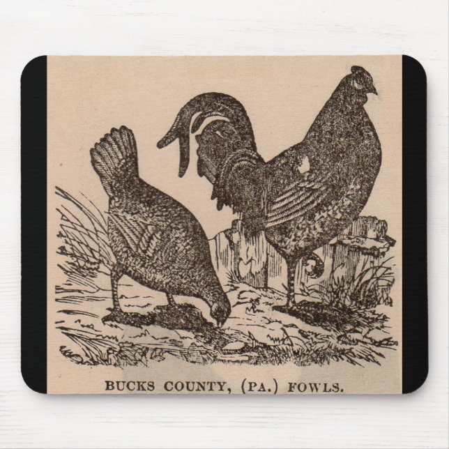 19th century print Bucks County fowls chickens Mouse Pad (Front)