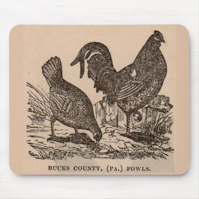 19th century print Bucks County fowls chickens Mouse Pad (Front)