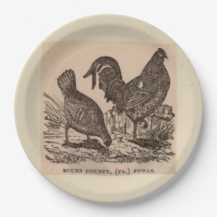 19th century print Bucks County fowls chickens Paper Plates
