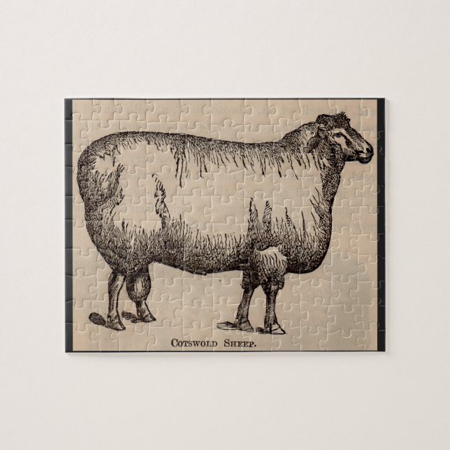 19th century print Cotswold sheep Jigsaw Puzzle (Horizontal)