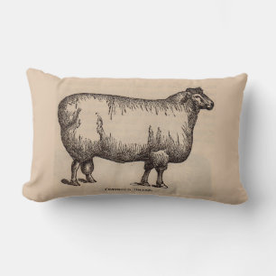 19th century print Cotswold sheep Lumbar Pillow