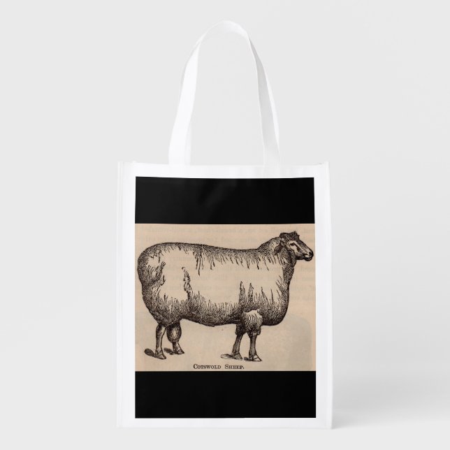 19th century print Cotswold sheep Reusable Grocery Bag (Front)