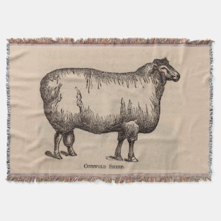 19th century print Cotswold sheep Throw Blanket