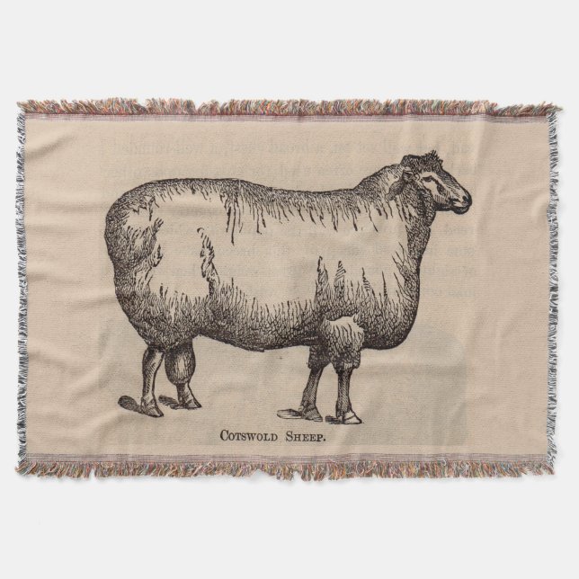 19th century print Cotswold sheep Throw Blanket (Front)