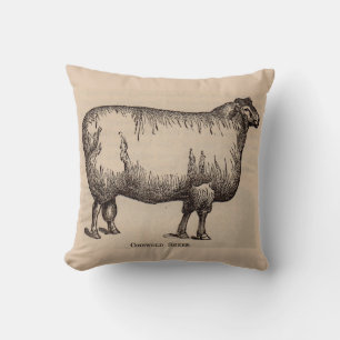 19th century print Cotswold sheep Throw Pillow