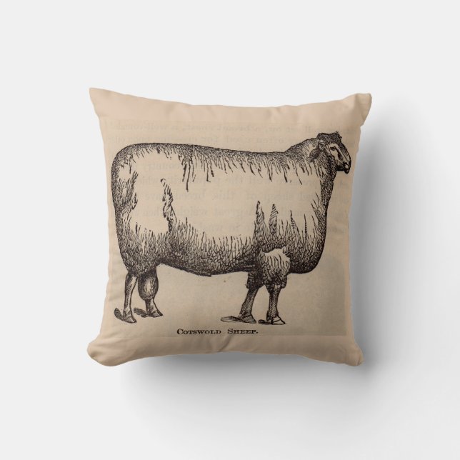 19th century print Cotswold sheep Throw Pillow (Front)